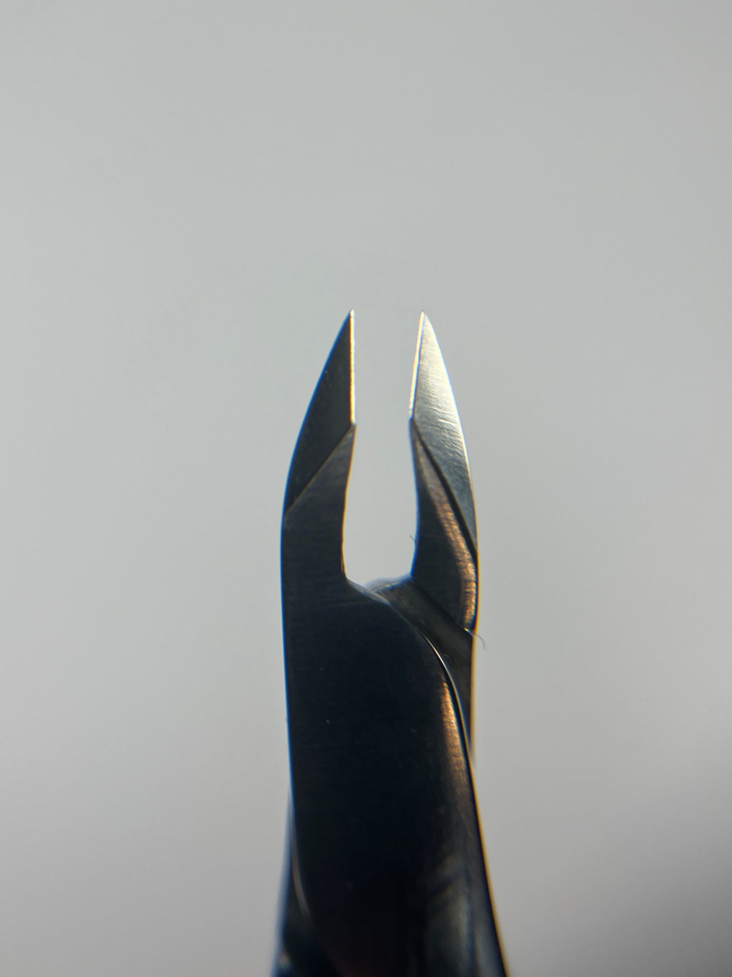 Tronchesina STALEKS - Expert 100/5mm